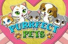 Purrfect Pets Video Slot