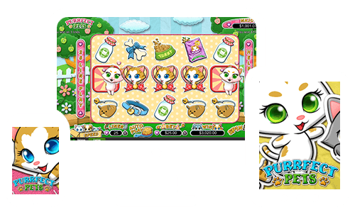 Perfect Pets is coming to Springbok Casino