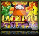 Jackpot Pinatas