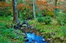 Hiking Amatola Trail