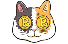 A cartoon-style illustration of cat’s face with crypto coins as eyes isolated on white