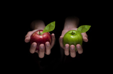 A photo of human hands holding a red and a green apple on a dark background 