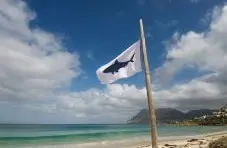 A photograph of a shark warning flag on a beach pole with turquoise ocean and mountains on a cloudy blue sky background