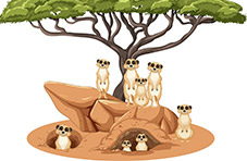 A cartoon-style illustration of a mob of meerkats peeping out of burrows and sitting and standing under a tree isolated on white