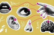 A collage illustration of human senses including lips, eye, ear, nose, hand and brain connected by a line on a yellow background