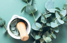 A photograph of a bunch of leaves next to a white pestle and mortar containing some leaves on a turquoise background