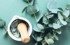 Indigenous plants can make effective skin care products and Springbok Casino is rated the best online casino South Africa!
