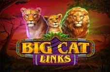 Big Cat Links