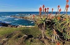 Garden Route South Africa