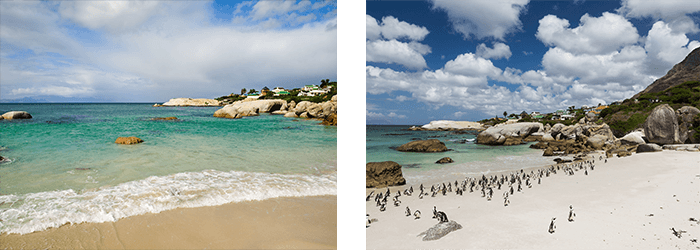 Boulders Beach South Africa