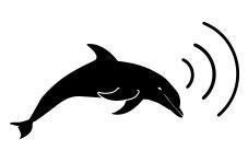 Dolphins Sonar
