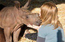 Blankets for Baby Rhinos