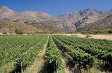 Hillock Wines - Klein Karoo Wines