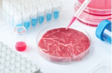 A lab-grown meat sample in a petri dish on a table with laboratory equipment surrounding it