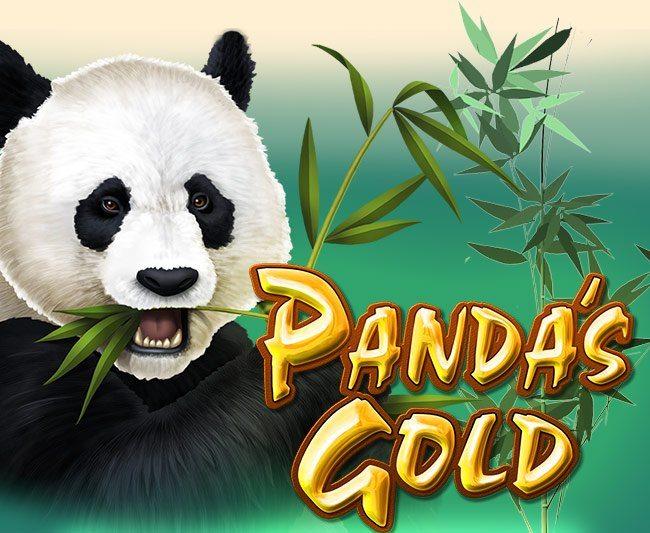 golden panda connexion