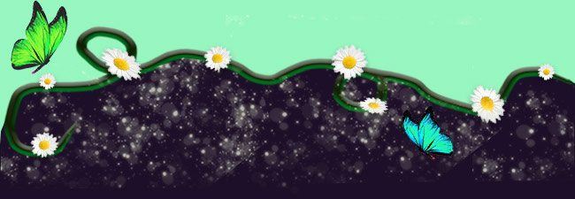 STARDUST