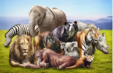 Do your bit for wildlife conservation - play endangered animal slots at our New Zealand online casino and donate to the cause