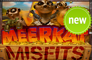 Meerkat Misfits