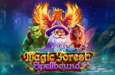 Magic Forest Spellbound