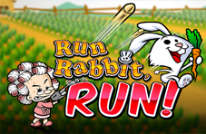 Run Rabbit Run