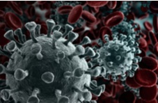 a close-up, microscopic view of the coronavirus germ