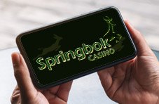 Springbok casino logo on a phone