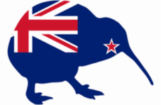 New Zealand flag on the silhouette of a kiwi bird