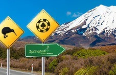 Take in all of New Zealand - including its online casino