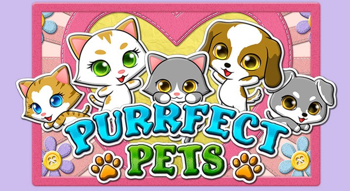 Purrfect Pets