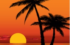 two palm trees on a beach on the background of a setting sun over the ocean