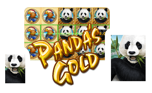 Panda Gold