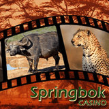 South African Casino Salutes Wildlife with Freeroll Slots Tournaments and No-deposit Bonuses Every Sunday in November