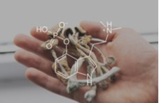 Psilocybin mushrooms grown for medicinal purposes held in a human hand with the chemical composition superimposed over it
