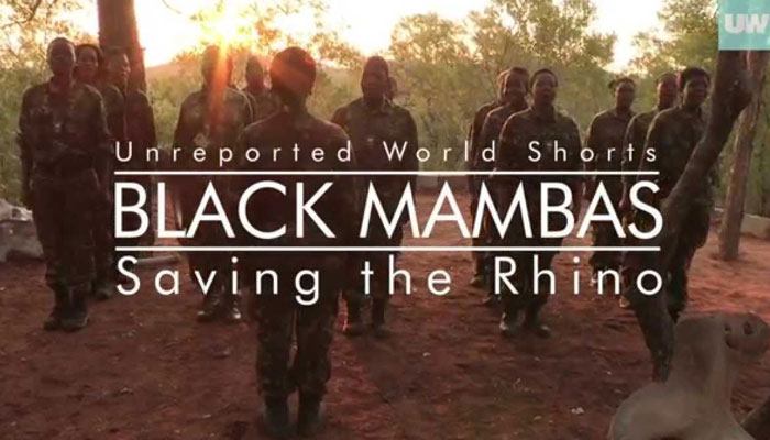 The Black Mambas