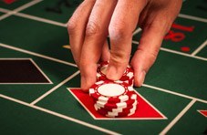 Play Roulette to Find Your Niche