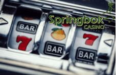 Slot game on a Springbok screen