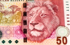 South African bank note with a lion on it