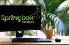 Springbok logo on a screen