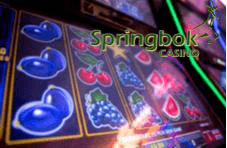 Springbok slot game on a screen