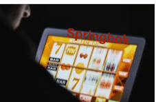 Springbok slot tourneys on the computer screen