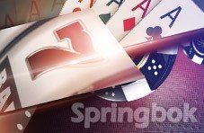 Let Springbok Help You Manage Your Money