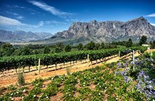 Stellenbosch South Africa