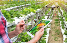 A vertical strawberry farm with a drone and a farmer holding a mobile device  