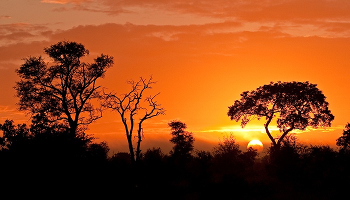 Kruger National Park