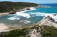 Surf and Turf Whale Trail De Hoop