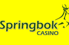 The Springbok logo showing the springbok antelope