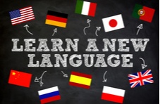 Learning a new language is fun and rewarding! Once you've reached your daily goal, head over to Springbok online casino.